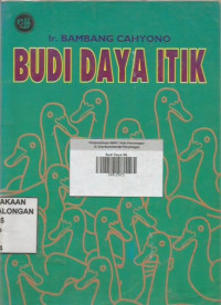 Budi Daya Itik