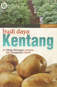 Budi Daya Kentang