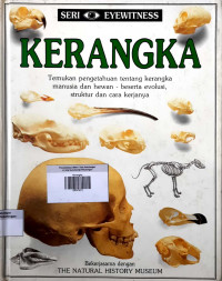 Kerangka